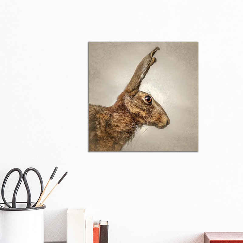 « Hare » par Mark Gemmell-impression d’art graphique, H 12 po x l 12 po x P 1,5 po, Toile tendue, Pas de tapis