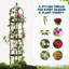 Treillis pour plantes grimpantes Sohvi-1363362014