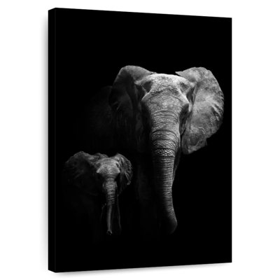 Elephants In The Dark
