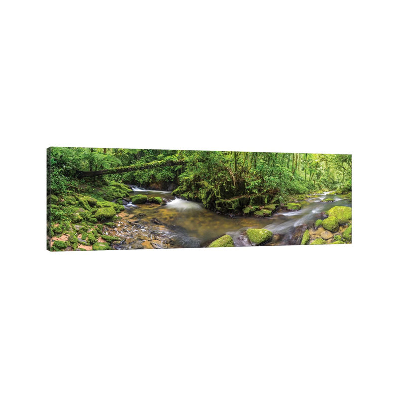 Jungle Panorama I by Glauco Meneghelli - Print on Canvas, 30.48 cm H x 91.44 cm W x 1.91 cm D, Wrapped Canvas