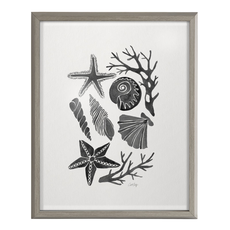 «Seashells» par Cat Coquillette
