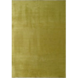 Rapture Area Rug in Green