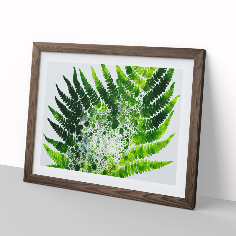 Fern Leaf Splash Vol.2 - Framed Print, 25cm H x 34cm W x 2cm D, Walnut