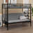 Almore Twin over Full Iron Standard Bunk Bed by Isabelle & Max™