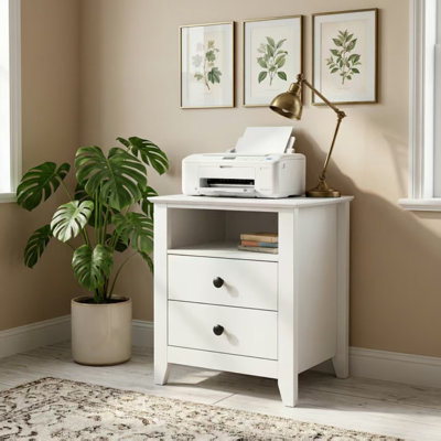 Printer Stand With 2 Drawers & Shelf
