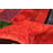 Color Transition Patchwork Red Rug 8'1" x 9'10"