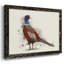 Pheasant Splash 5, peinture sur toile encadrée-1414310029-1414310033