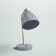 Agatho Adjustable Metal USB Desk Lamp