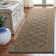 Frankie Performance Oriental Rug