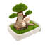 Daymein Velvet Bolster Pet Bed