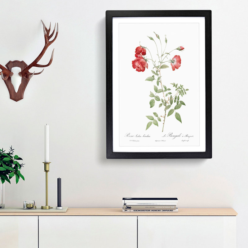 Red Roses by Pierre-Joseph Redoute - Picture Frame Painting Print, 65cm H x 48cm W x 2cm D, Black Framed