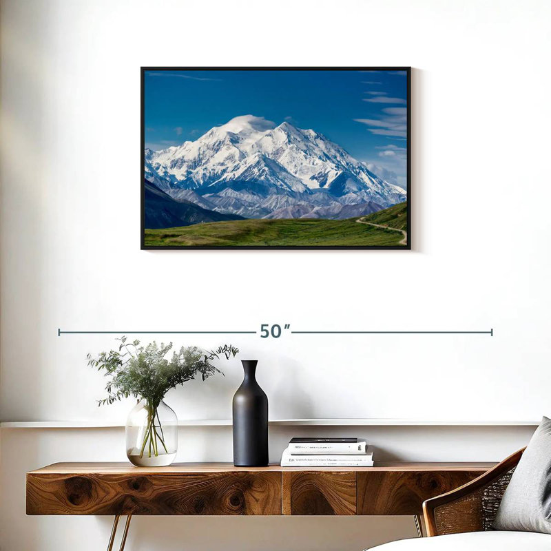 Mont McKinley Denali, Cadre flottant noir, 31 po x 21 po