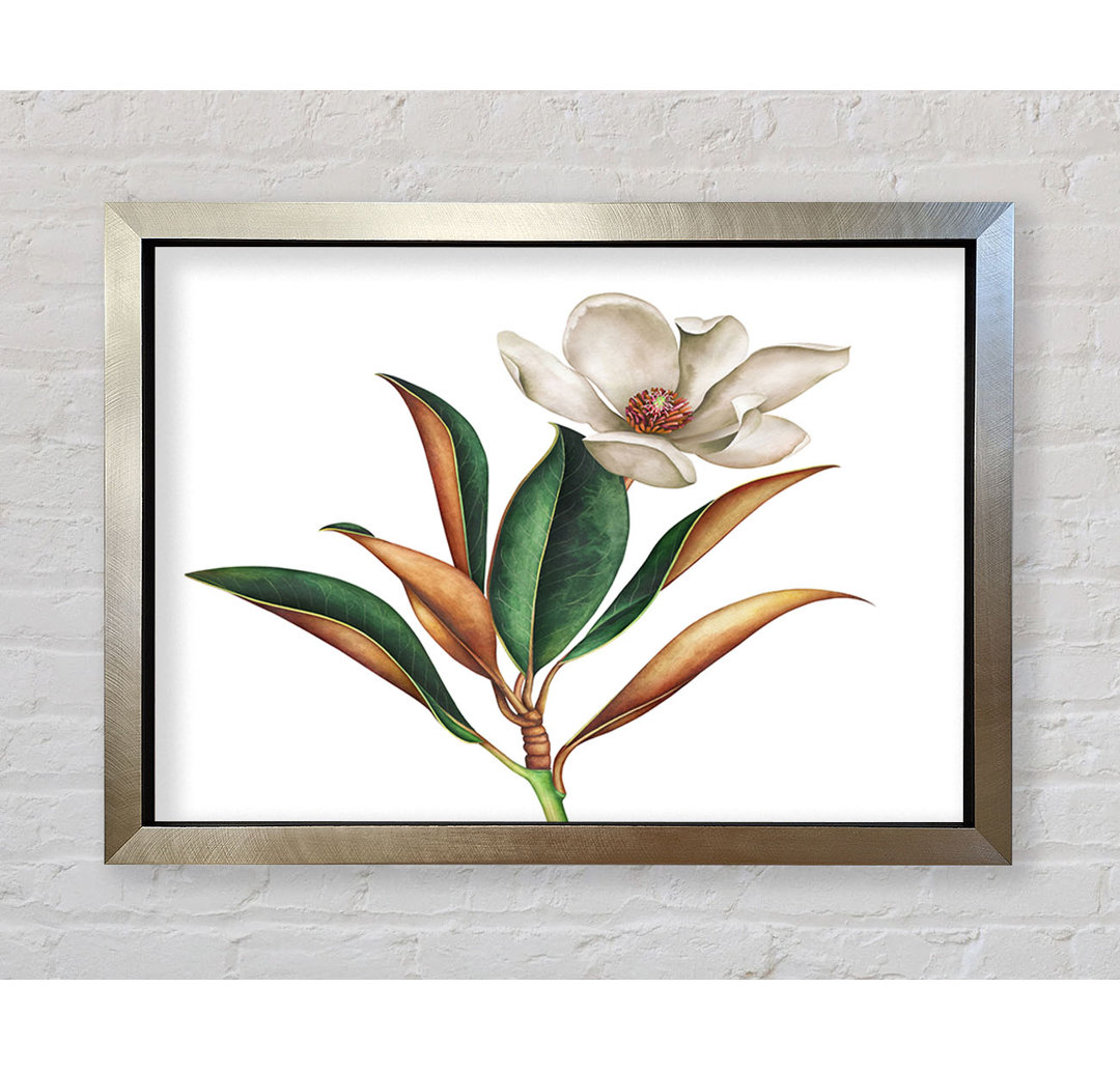 Britische Blumenillustration - Druck