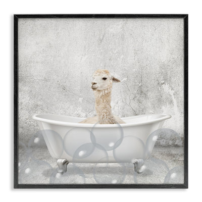 «Baby Llama Bath Time», reproduction d'impression