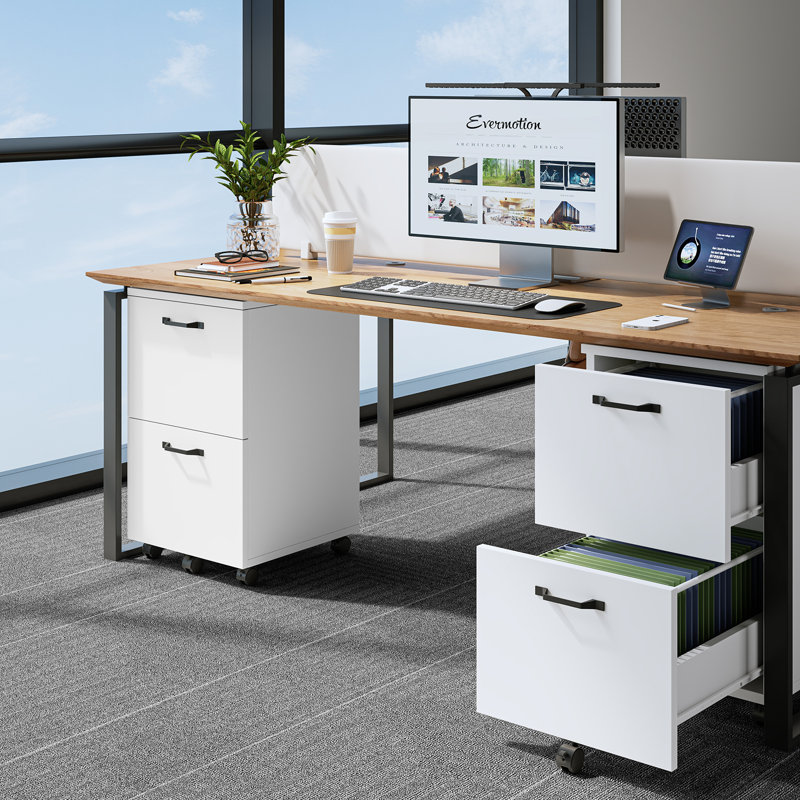 2-Drawer File Cabinet, Small Rolling Filing Cabinet, Printer Stand for Home Office, for A4 Documents, White