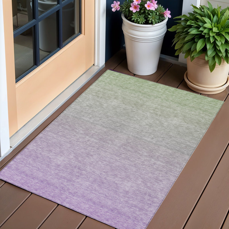 Tapis lavable intérieur / extérieur 3 pi x 5 pi lavande