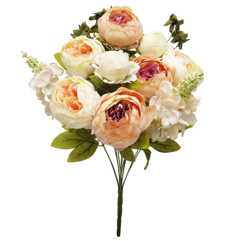 Buisson de pivoines de luxe mélangé, Crème / pêche
