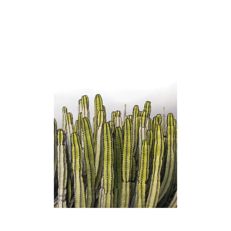 Forever - Wrapped Canvas Print, 66.04 cm H x 45.72 cm W x 1.91 cm D
