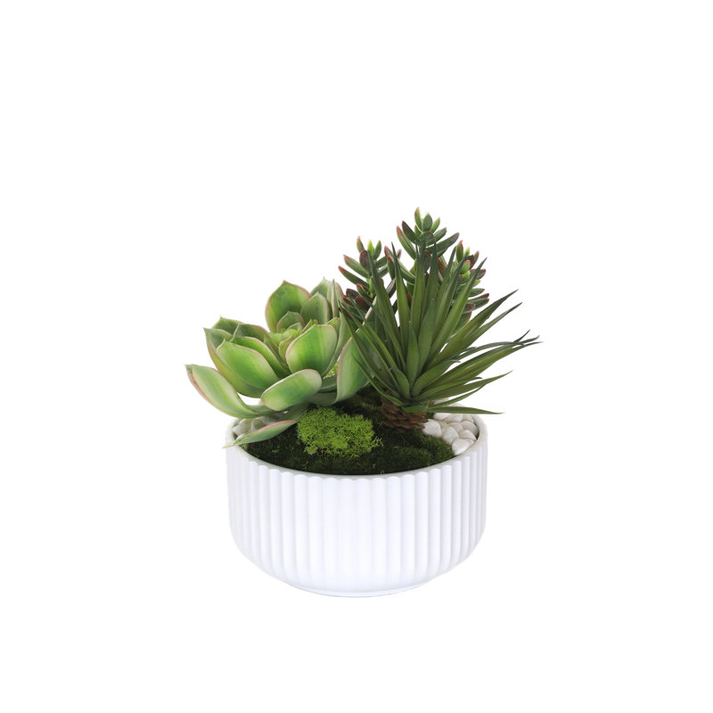 Faux Succulent, White