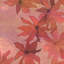 Floral Wallpaper Double Roll-67395517