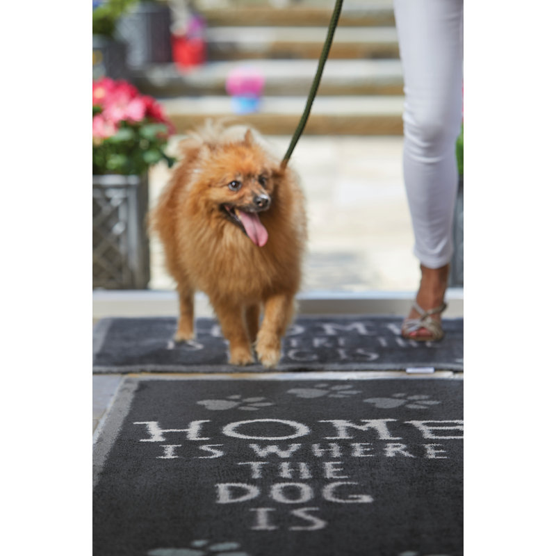 Non-Slip Indoor Doormat