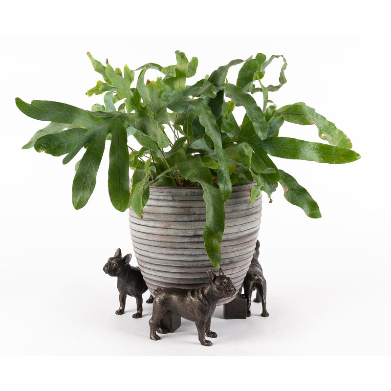Arcadia Weather Resistant Planter Feet
