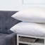 Rembourrure pour coussin décoratif-104949619