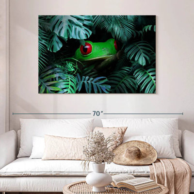 Rainette tropicale Brampt