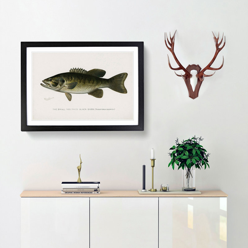 Small-Mouthed Black Bass by Sherman F. Denton - Picture Frame Painting Print, Black Framed, 48cm H x 65cm W x 2cm D