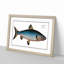 Blue Salmon Fish by M.E. Bloch - Picture Frame Painting Print-55544381-55544382