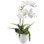 White Rochids - White Ceramic Bowl