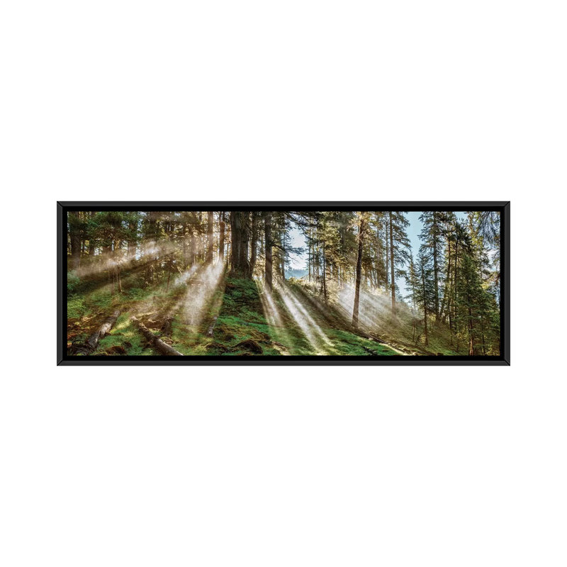 «Forest Landscape, Alaska, USA» par Panoramic Images, galerie, impression sur toile tendue, H 12 po x l 36 po x P 1,5 po