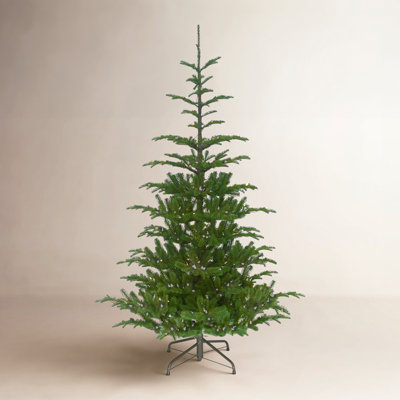Norwegian Spruce Tree with Clear Lights