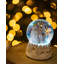 Christmas Snow Globe