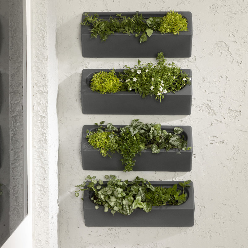 Dalya Wall Planter - Thumbnail 2