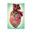 Human Garden - Print on Canvas-1029117631-1029117630