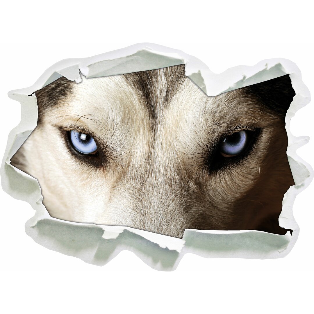 Wandtattoo Husky eisblaue Augen