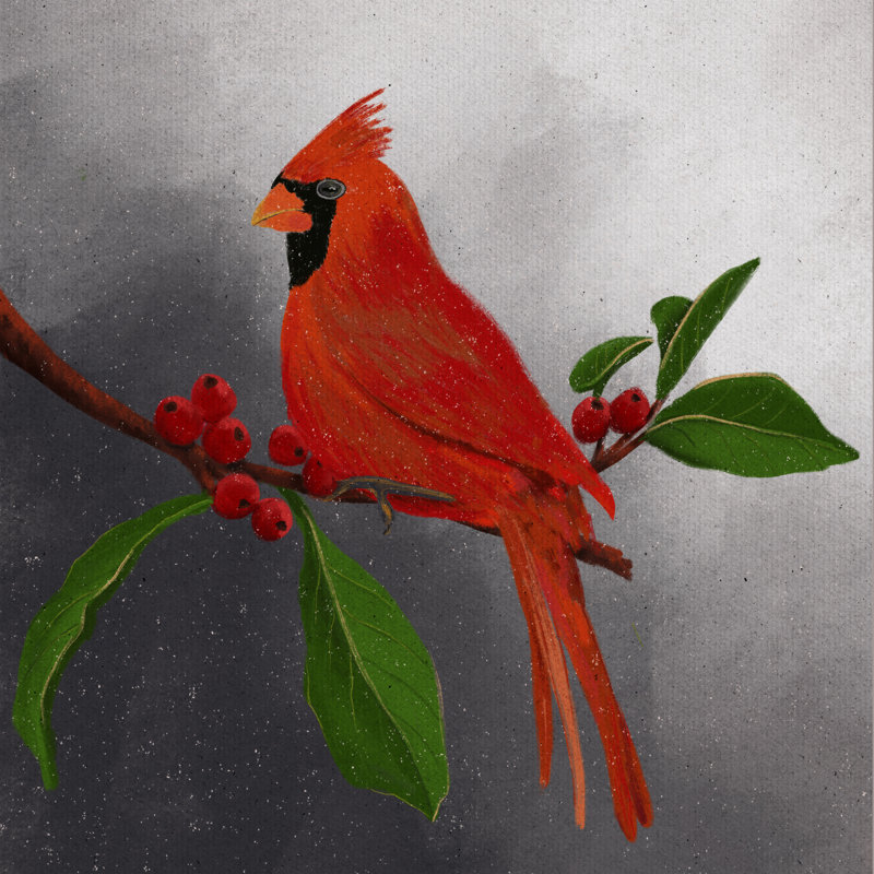 «Jamiyah Red Cardinal II» par Regina Moore, L 36 po x H 36 po