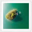 Single Picture Frame Print-120219176