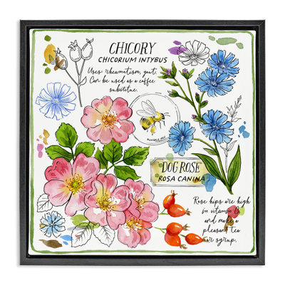 "Varied Herbs Avantages", art mural encadré flottant par Jane Maday