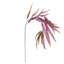 WILLOW EUCALYPTUS STEM 37"
