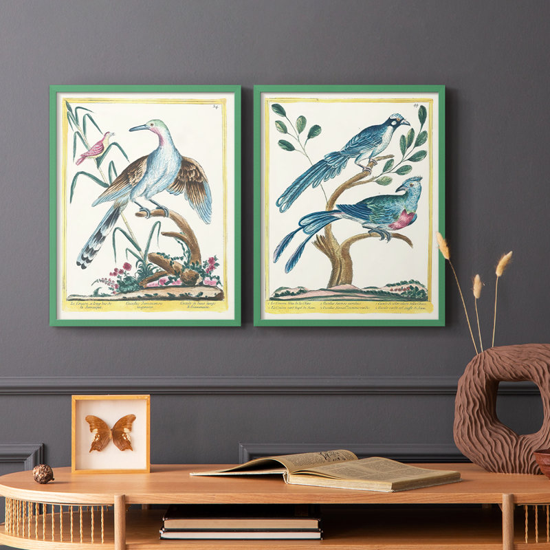 «Pastel Birds V-Premium», reproduction encadrée prête à accrocher - aucun clou requis - aucun clou requis, Gris