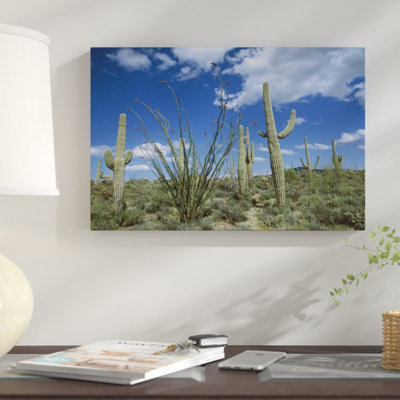 " Sonoran Desert Landscape, Tucson, Arizona "