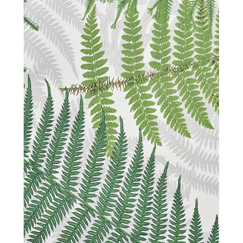 Papier peint Schumacher x Clements Ribeiro Fernarium, Ivoire / feuille