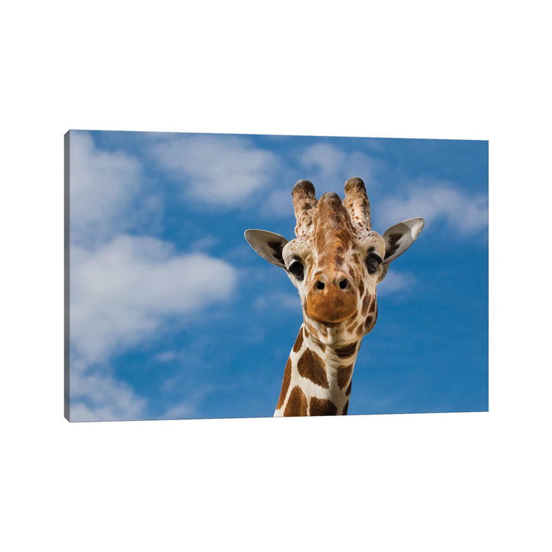 Giraffe by Goran Anastasovski - Wrapped Canvas Print, 20.32 cm H x 30.48 cm W