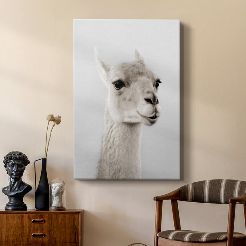 Lama doux - galerie Cavas sur mesure, H 48 po x l 32 po