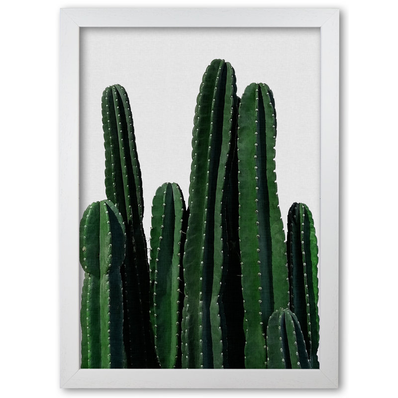 Cactus I - Print, 85 cm H x 60 cm W x 5 cm D, White Grain Frame