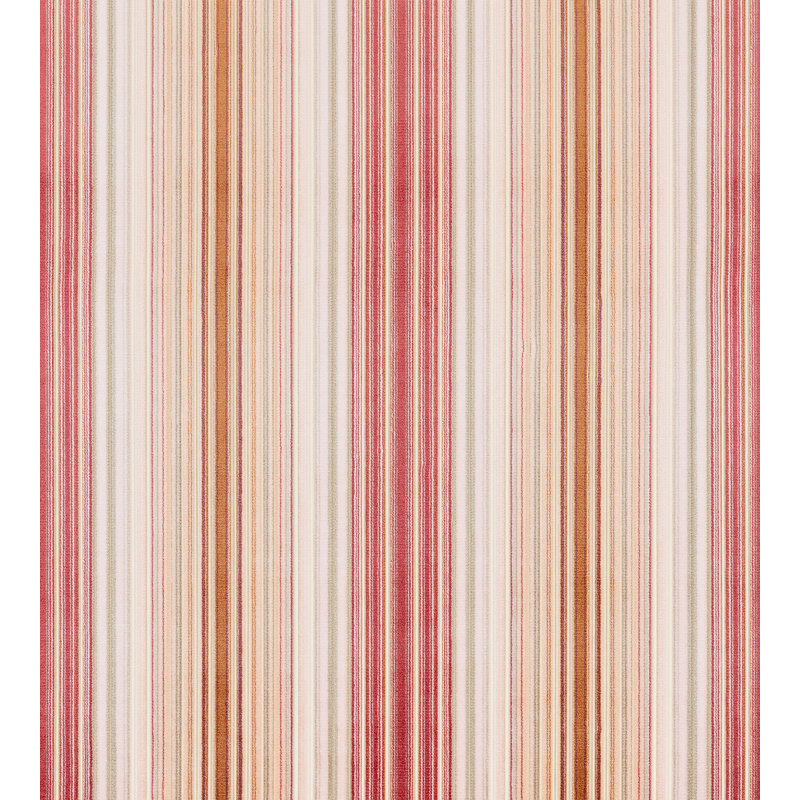 Velours, Rose, abricot
