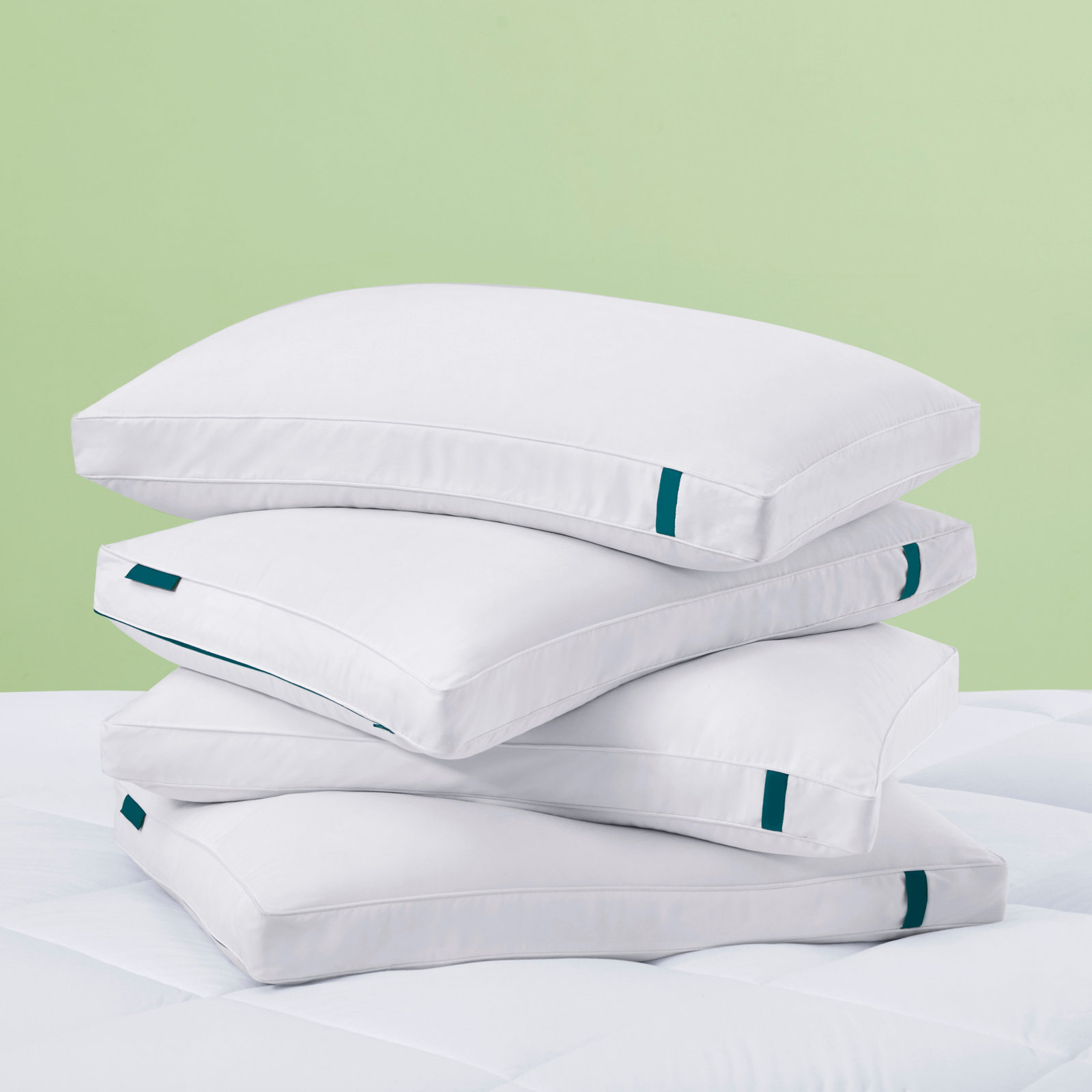 Medium Down and Feather Pillow, Standard