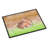 Beulah Non-Slip Easter Outdoor Doormat-38444474